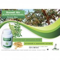 BOSWELL MIX (Босвелл Микс) на основе экстракта Boswellia