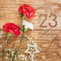 23 ФЕВРАЛЯ — ДЕНЬ ЗАЩИТНИКОВ ОТЕЧЕСТВА И ВООРУЖЕННЫХ СИЛ РЕСПУБЛИКИ БЕЛАРУСЬ!