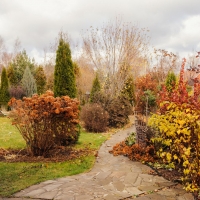 СОЦИАЛЬНО-МЕДИЦИНСКИЙ ПРОГНОЗ НА НОЯБРЬ 2025 ГОДА