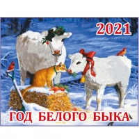 ЧТО ГОД ГРЯДУЩИЙ НАМ ГОТОВИТ? (Социально-медицинский прогноз на 2021 год)
