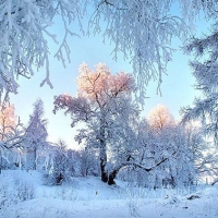 СОЦИАЛЬНО-МЕДИЦИНСКИЙ ПРОГНОЗ НА ФЕВРАЛЬ 2026 ГОДА