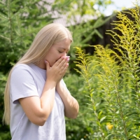 ВЕСЕННИЙ ПОЛЛИНОЗ (Врач поясняет, предупреждает, советует…)