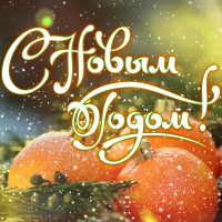 Дорогие друзья! Поздравляем Вас с Рождественскими и Новогодними праздниками!