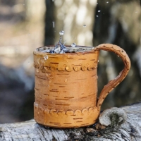 ВЕСЕННИЙ ЖИВИТЕЛЬНЫЙ НЕКТАР (Загляните в кладовую природы)