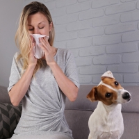 АЛЛЕРГИЯ НА ДОМАШНИХ ЖИВОТНЫХ (Вы просили рассказать)